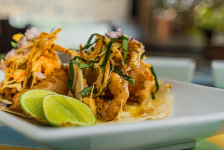 Taco Gobernador - Ola-Ola - Grupo Brasa